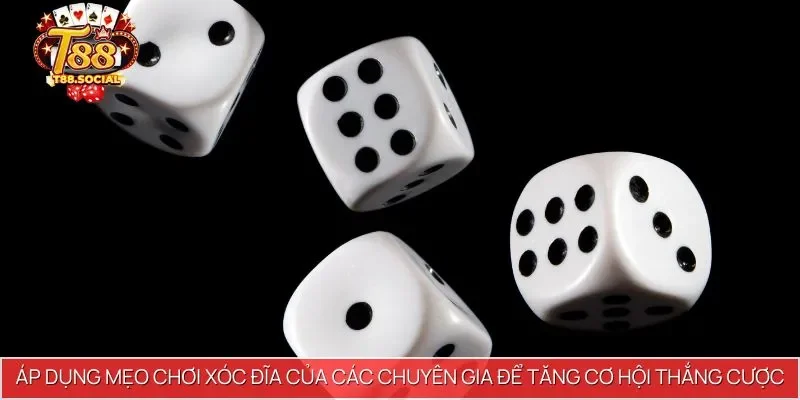 Áp dụng mẹo chơi xóc đĩa của các chuyên gia để tăng cơ hội thắng cược