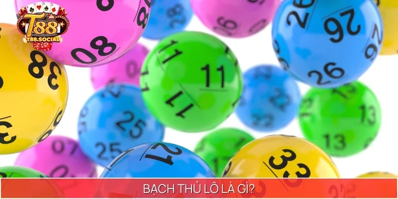 Bạch thủ lô là gì
