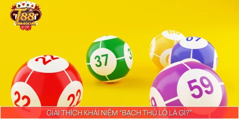 Giải thích khái niệm “Bạch thủ lô là gì?”