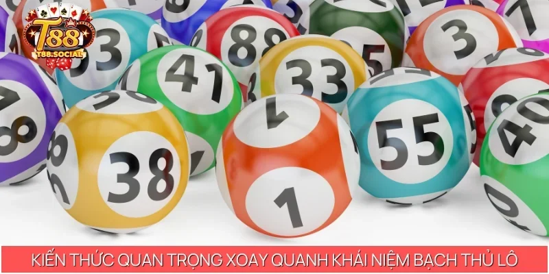 Kiến thức quan trọng xoay quanh khái niệm “Bạch thủ lô là gì?”